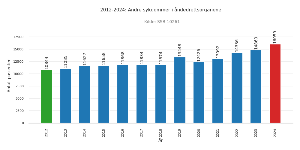 pasienter-andre_sykdommer_i_aandedrettsorganene